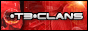 *T3* Clans Website